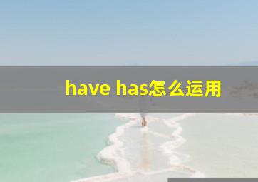 have has怎么运用